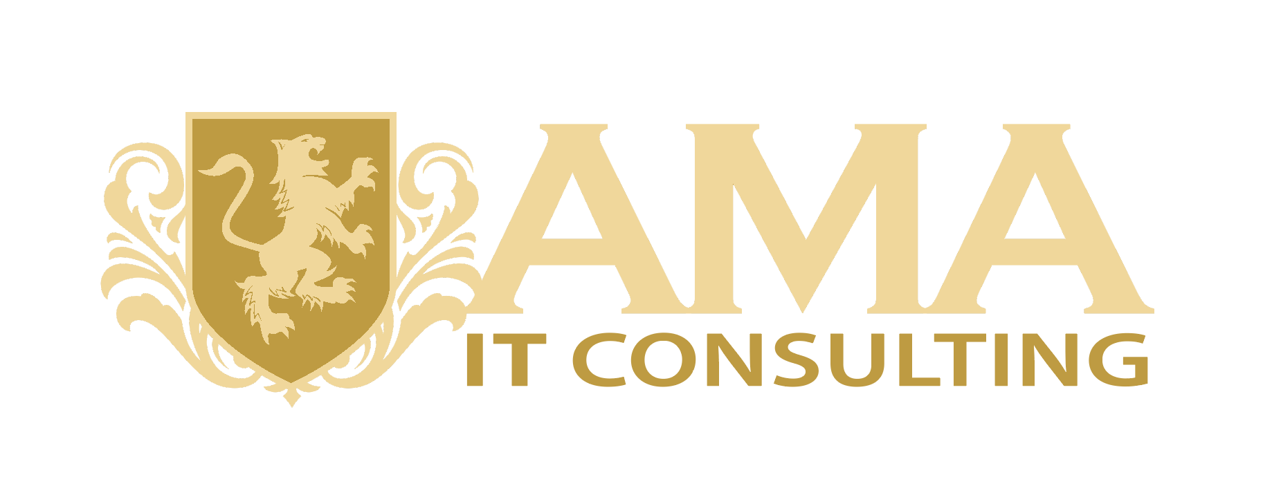 AMA IT Consulting